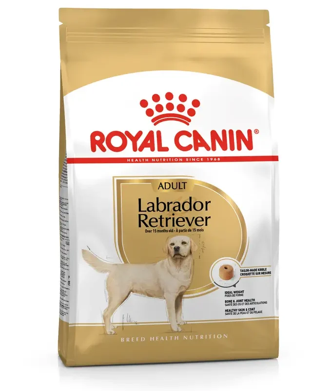 Royal Canin Tahıllı Kümes Etli Labrador Yetişkin Köpek Maması